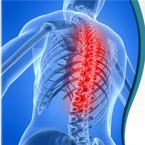L'osteocondosi degli spincer può essere causata da varie cause